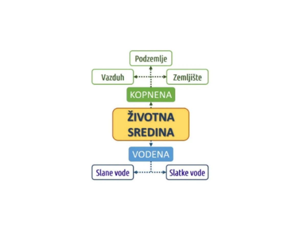 Životna sredina i njeni delovi — vodena i kopnena sredina zajedno čine dom svih živih bića