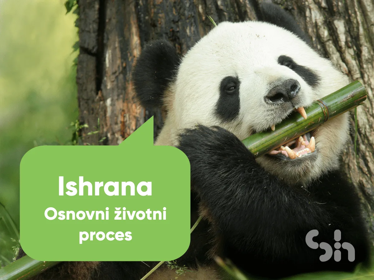 Ishrana i varenje — put hrane kroz organizam