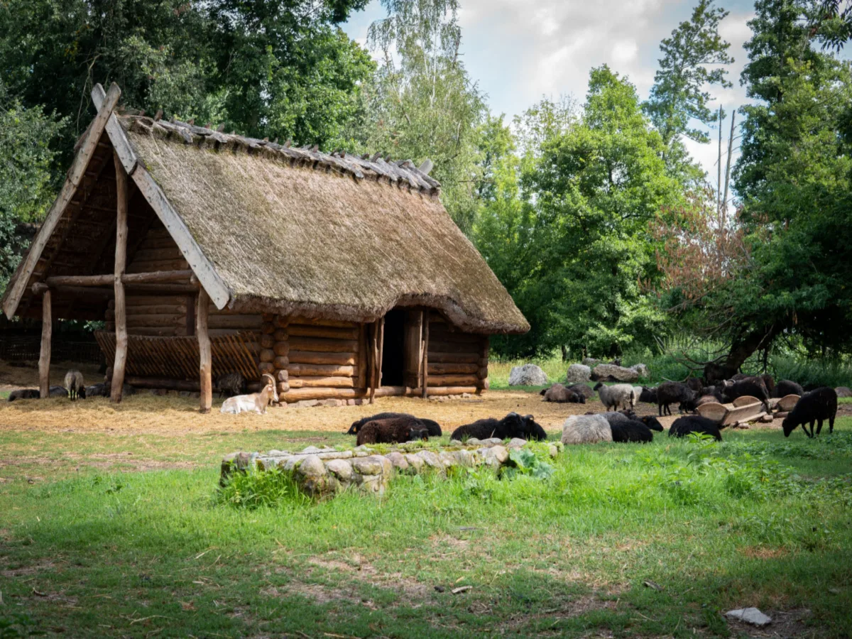 Stari Sloveni u prapostojbini