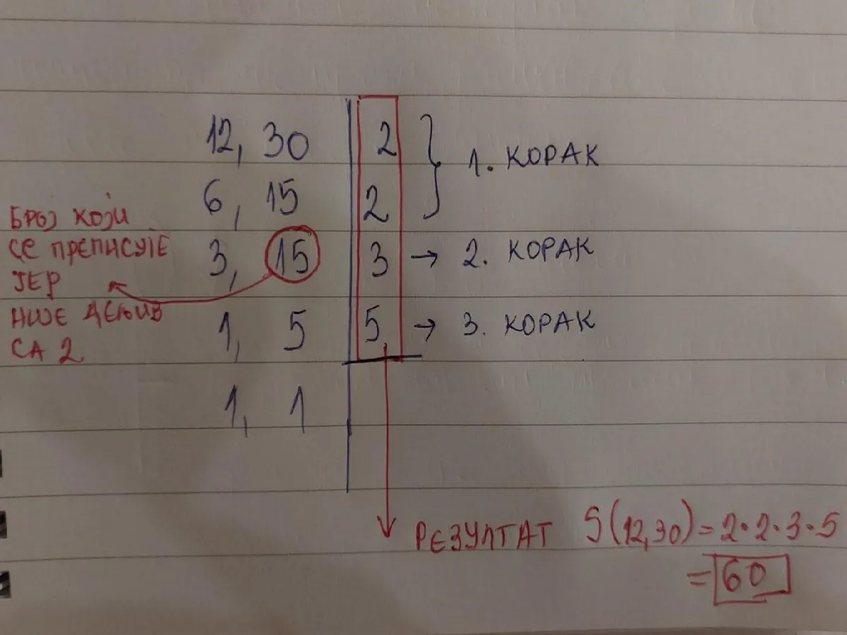 NZS rastavljanje na proste činioce