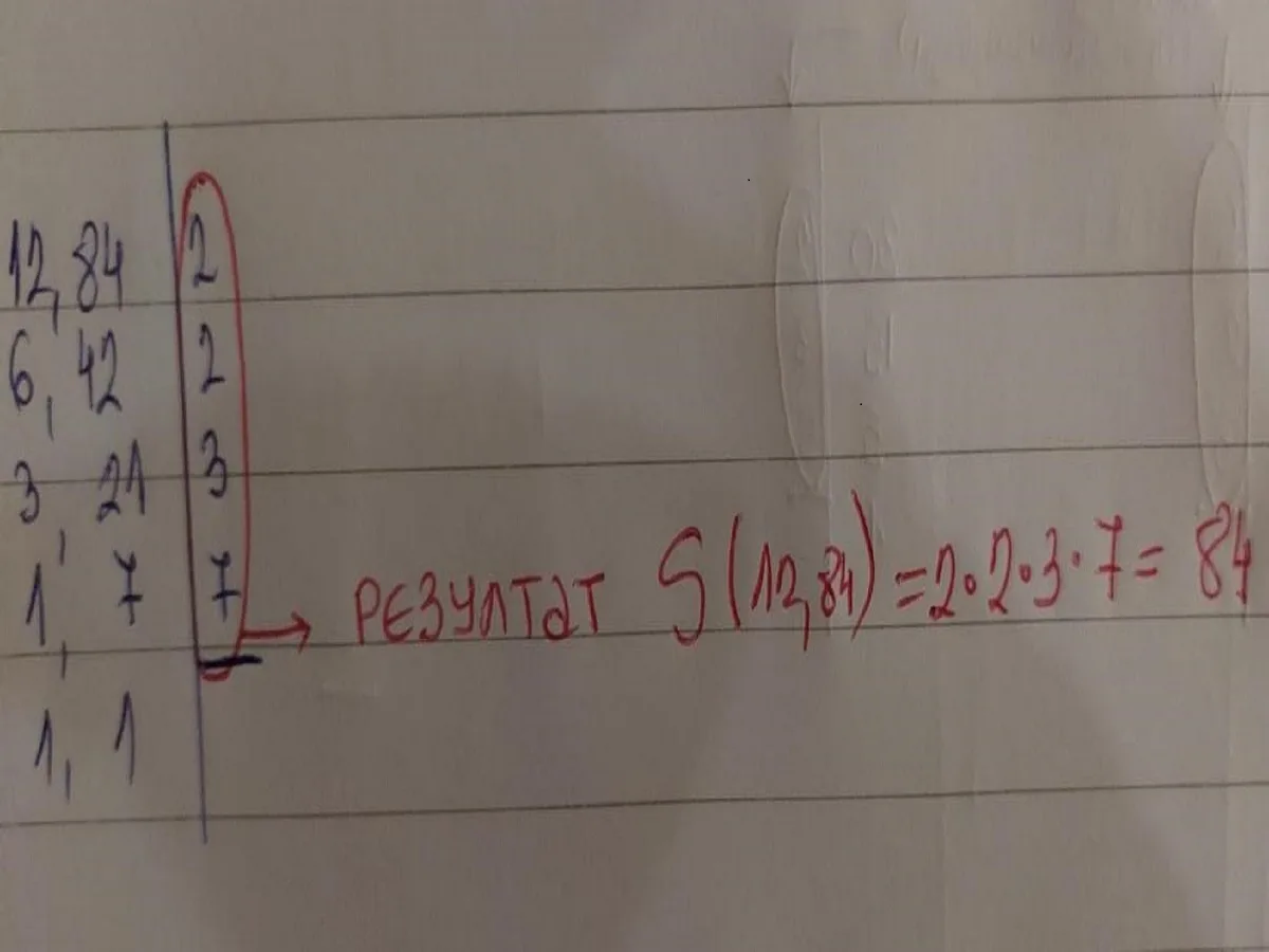 NZS primeri korak po korak