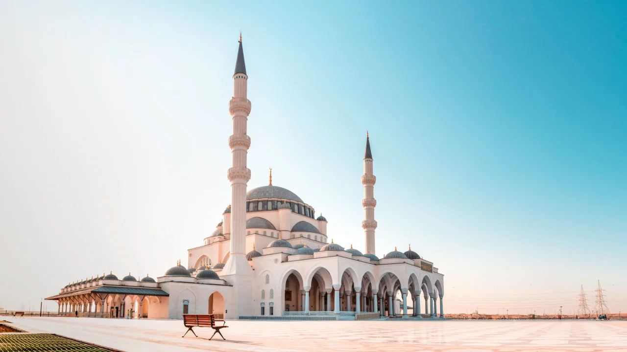 Monoteizam i politeizam, grane religija
