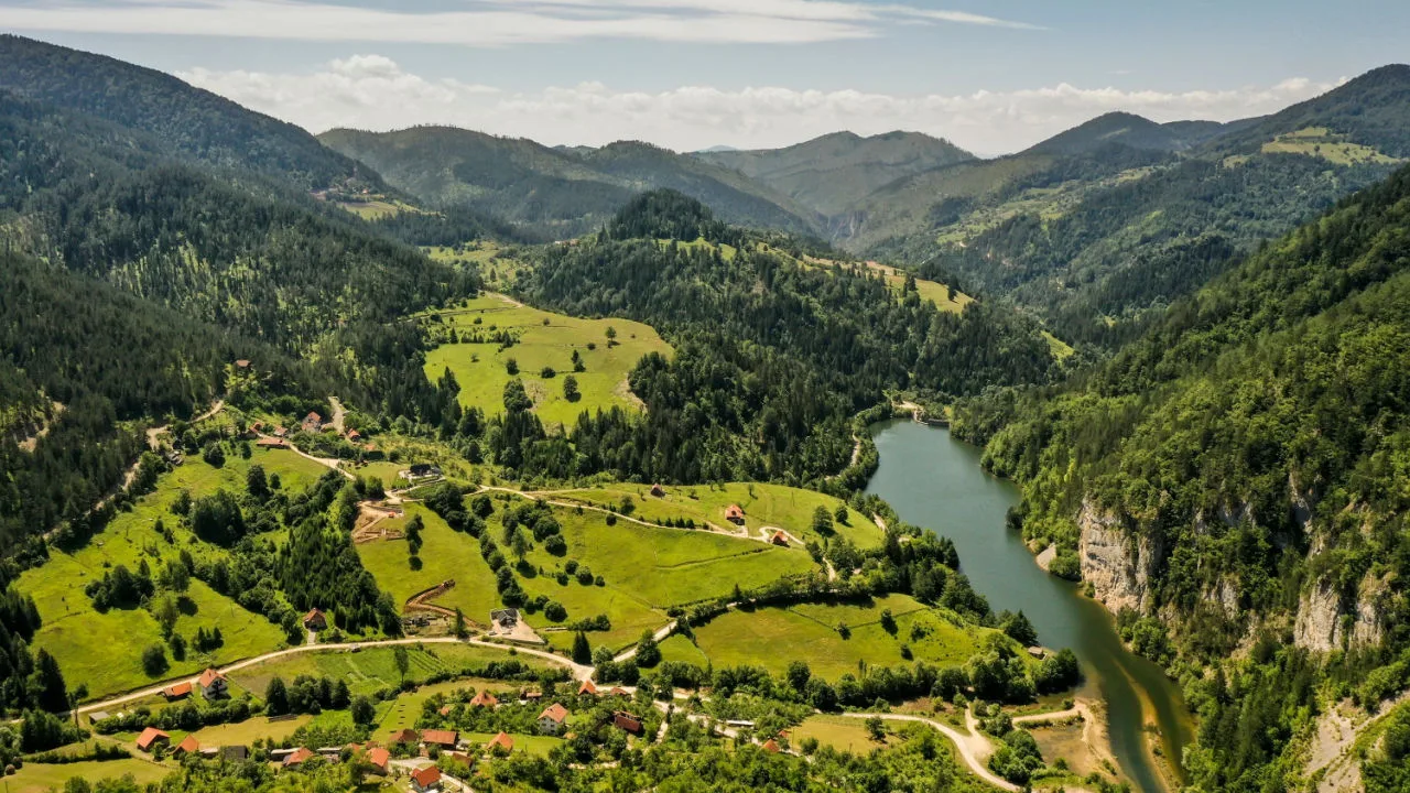 Šumsko stanište koje mora biti očuvano da bi vrste opstale