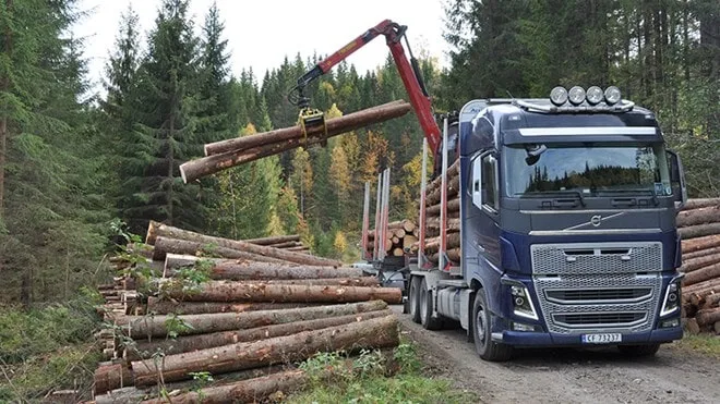 Tajge i drvna industrija Norveške