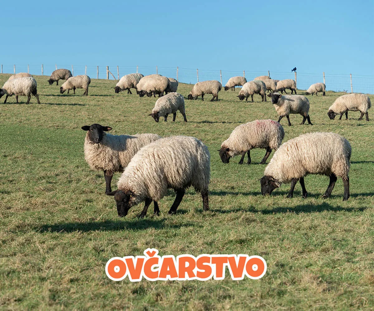 Industrija Ujedinjenog Kraljevstva od uglja i gvožđa do modernih grana