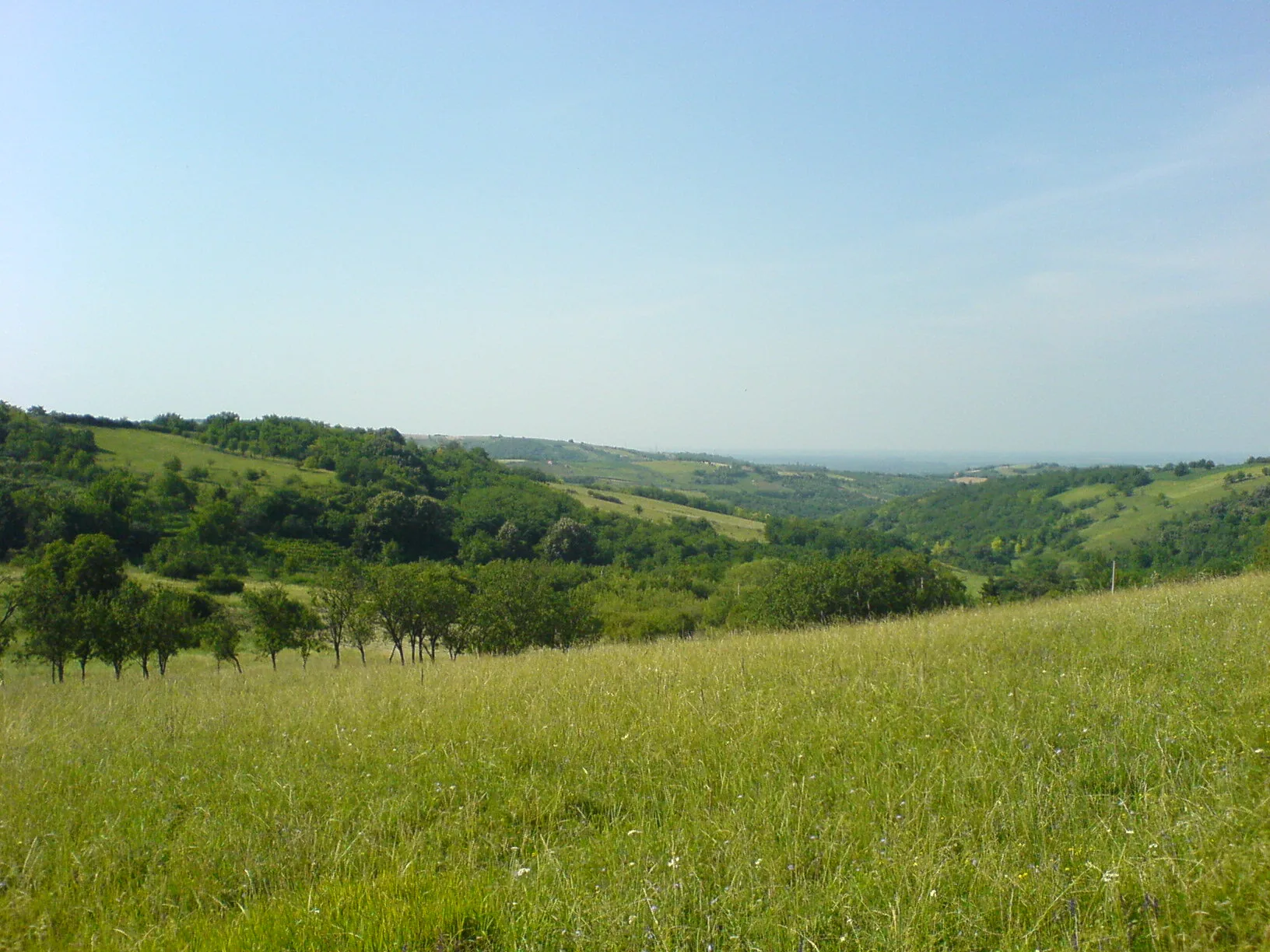Zaštićeno prirodno područje kao prostor očuvanja biodiverziteta