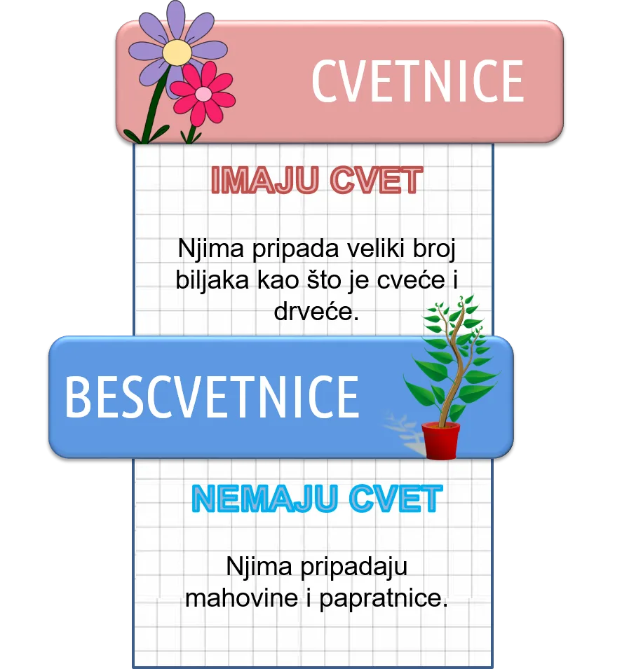 Cvetnice — raznovrsnost biljaka