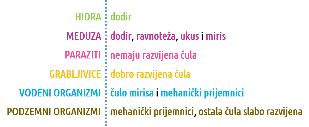 Različita čula imaju specijalizovane receptore
