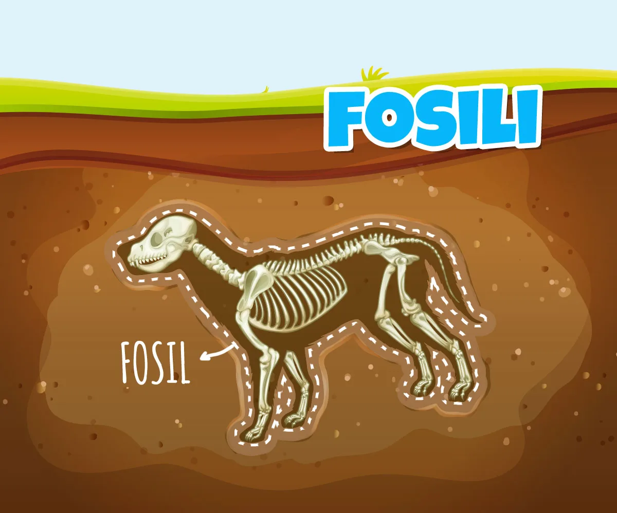 Fosili — okamenjeni ostaci izumrlih organizama