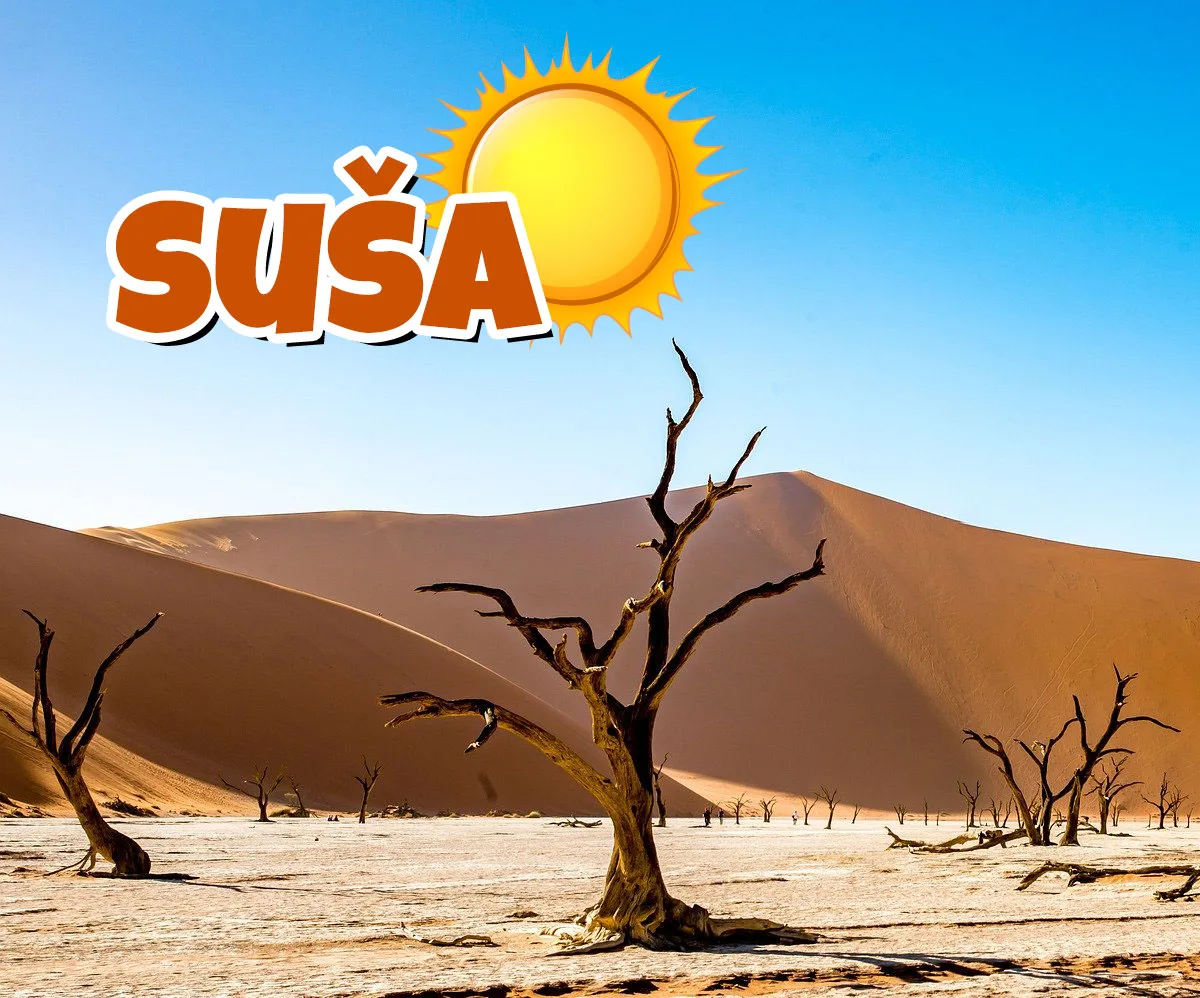 Suša — ispucala zemlja bez vode