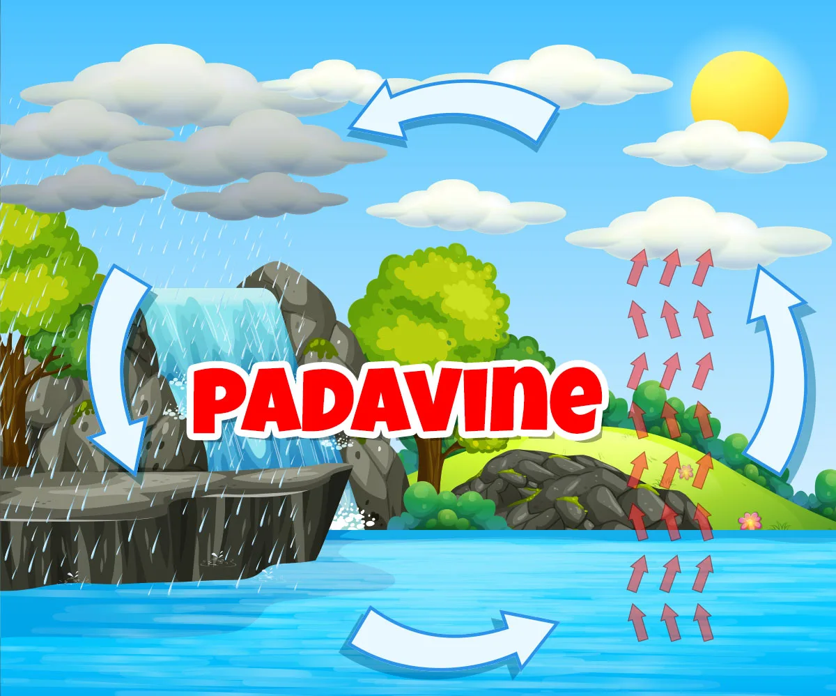 Padavine — visoke i niske padavine