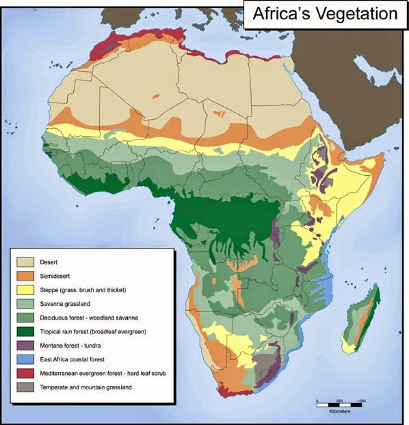 Basen Konga i neprohodne prašume Afrike