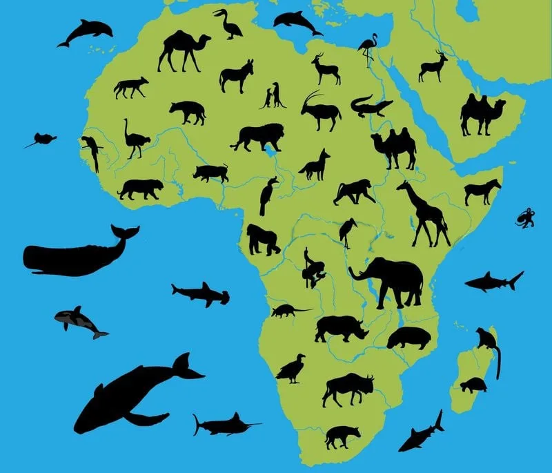 Afrika kao prostor najstarijih tragova života i čovečanstva