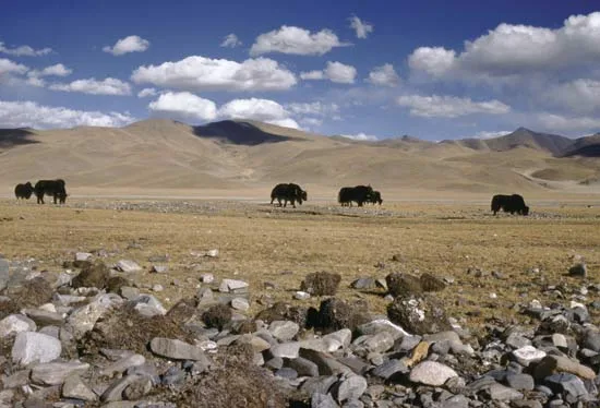 Tibetanska visoravan kao krov sveta