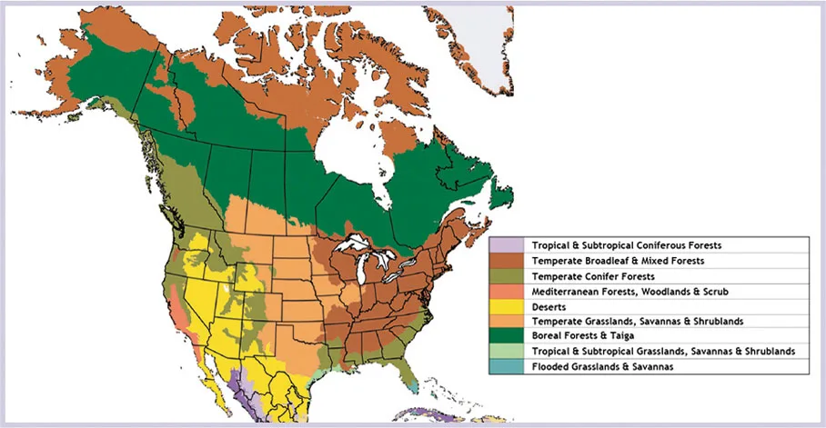 Prirodne zone Severne Amerike