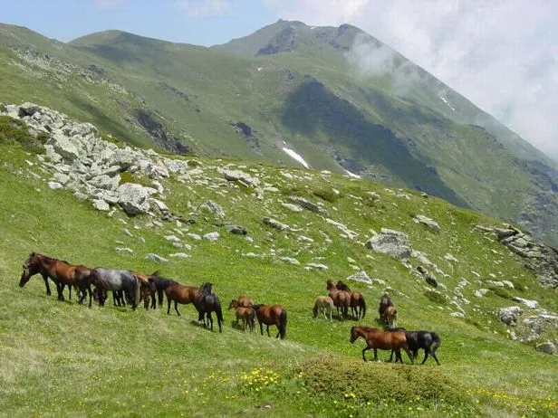 Masiv Šar-planine na jugu Srbije