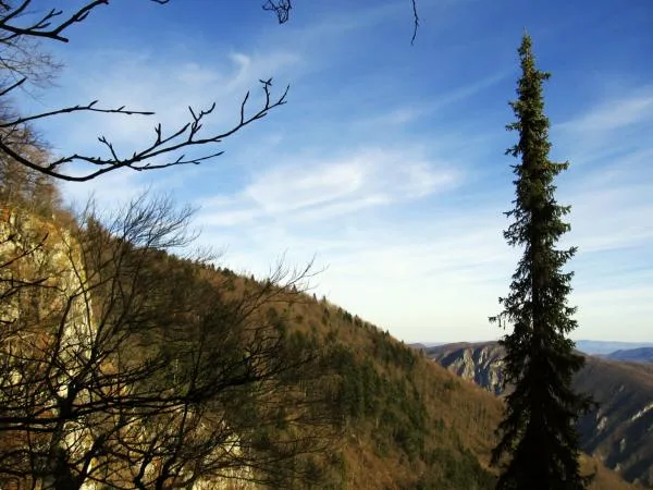 Planina Tara kod nekropola sa stećcima