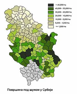 Listopadne šume hrasta i graba u nižem pojasu