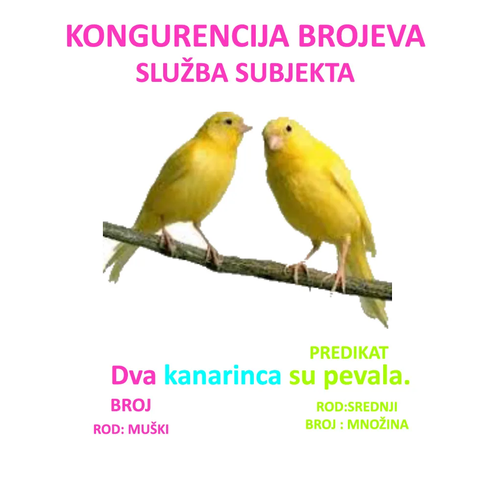Brojne imenice na ica i slaganje predikata