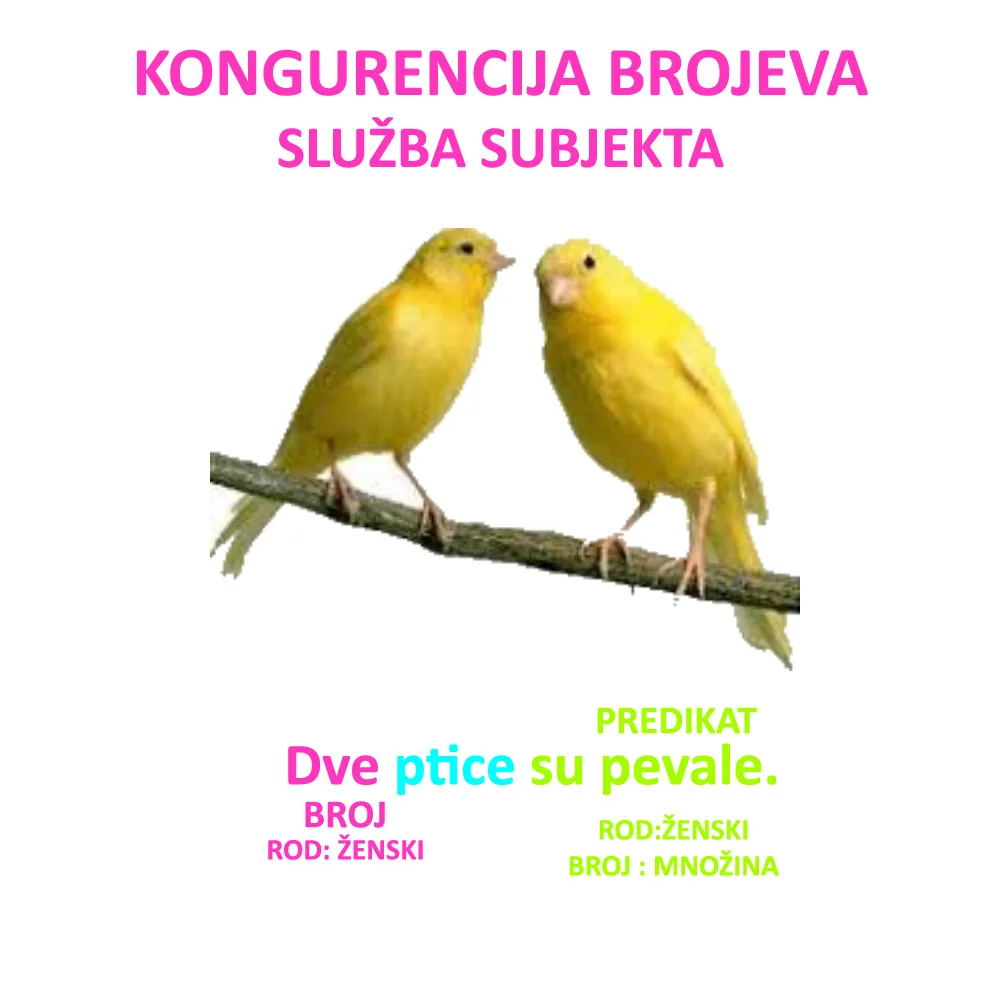 Slaganje predikata sa zbirnim imenicama deca i braća